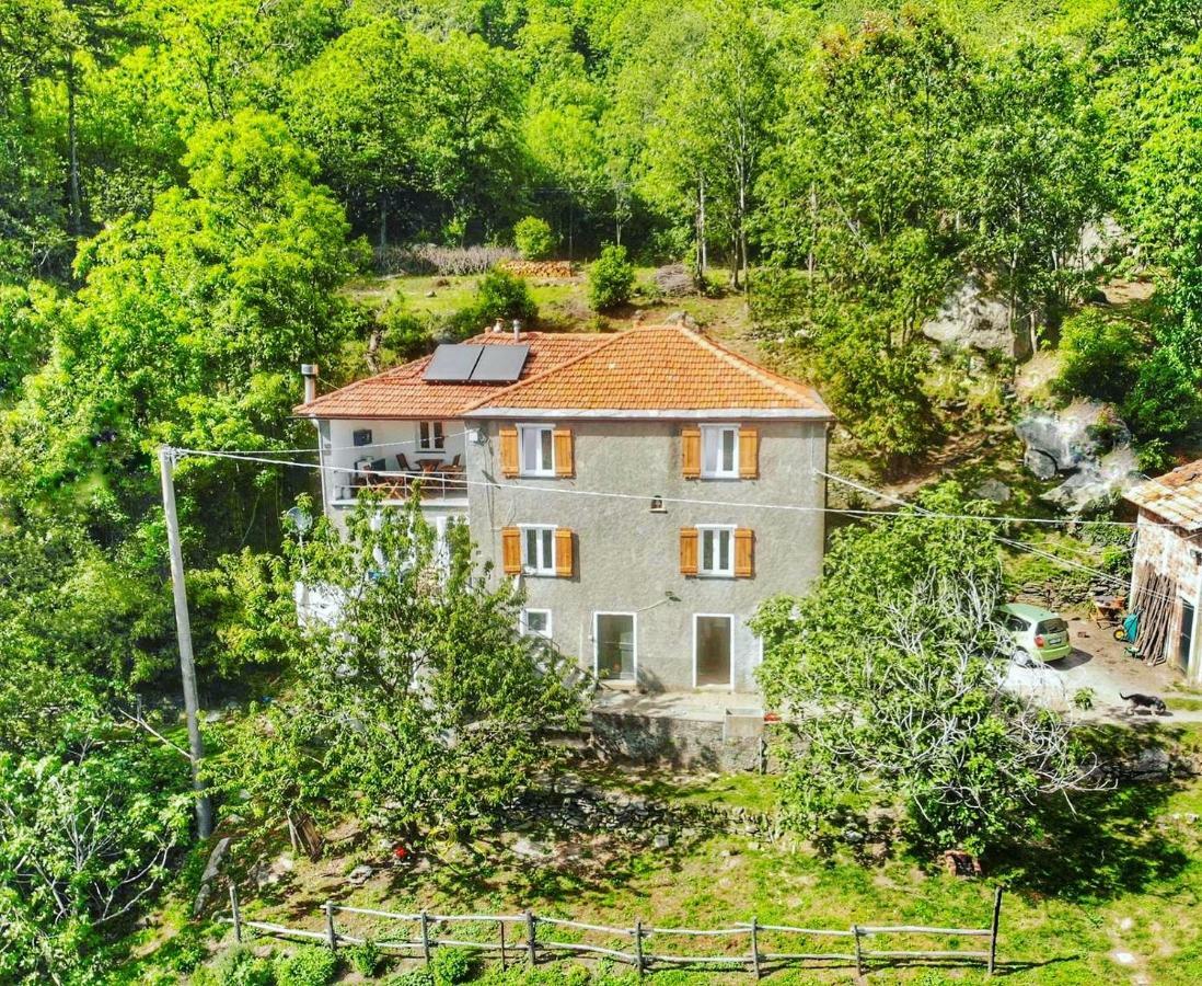 Berzuaia Bed & Breakfast Varazze Exterior photo